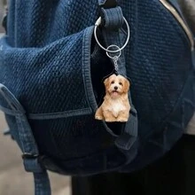 1 pièce Porte-clés photo personnalisé, porte-clés photo en acrylique pour animaux de compagnie, cadeau humoristique, cadeau mignon d'anniversaire, thème anime/dessin animé, design animal/peluche, porte-clés de fantaisie décoratif pour femme avec mousqueton, cadeau d'anniversaire ou de fête idéal