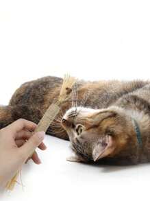 5/3/1 件猫磨牙棒宠物咀嚼玩具，适合小型和幼猫磨牙和玩耍，猫咀嚼玩具，猫咀嚼物，猫牙齿清洁咀嚼物，绳子和藤条，亚麻互动牙齿清洁玩具，适用于室内猫，多功能宠物游戏，无需电池，猫薄荷玩具 Silvervine 棒成年猫玩具小猫磨牙咀嚼 - 彩色 - 查看 4