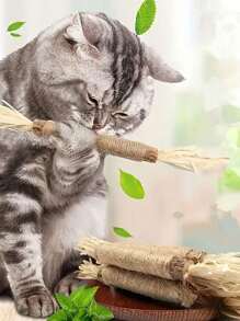 5/3/1 件猫磨牙棒宠物咀嚼玩具，适合小型和幼猫磨牙和玩耍，猫咀嚼玩具，猫咀嚼物，猫牙齿清洁咀嚼物，绳子和藤条，亚麻互动牙齿清洁玩具，适用于室内猫，多功能宠物游戏，无需电池，猫薄荷玩具 Silvervine 棒成年猫玩具小猫磨牙咀嚼 - 彩色 - 查看 5