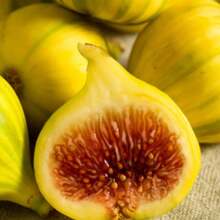 Rare Golden Dwarf Jujube Seeds, Suitable For Planting Ficus Carica Fruit Plants - 300 - View 2