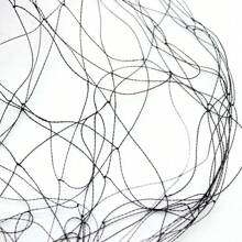 100*50 Ft Rectangular Shape Anti Bird Net Polyester Material Fruit/ Vegetable/ Flower/ Fish/ Animal Protecting Net Mesh Net For Garden/ Farm/ Pond/ Field - 黑色 - 查看 4