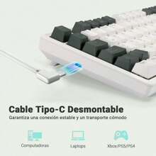 LORISKORS TR95 Teclado Mecánico Español de 95 Teclas, Teclado Oficina de Blanco Retroiluminado, Teclado Gamer con Ñ y Teclas Numérico, Cable Removible, Keyboard de Red Switch, Blanco/Gris Verde - Blanco/Gris Verde (Red Switch) - Ver 7