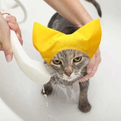 Ny hörselskydd för katt, vattentät badmössa för att förhindra att vatten tränger in, 5 färgalternativ