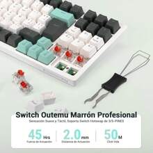 LORISKORS TR95 Teclado Mecánico Español de 95 Teclas, Teclado Oficina de Blanco Retroiluminado, Teclado Gamer con Ñ y Teclas Numérico, Cable Removible, Keyboard de Red Switch, Blanco/Gris Verde - Blanco/Gris Verde (Red Switch) - Ver 4