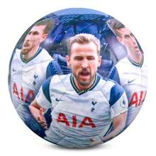 Tottenham Hotspur F.C. Tottenham Hotspur Player Photo Football - Blue - View 1