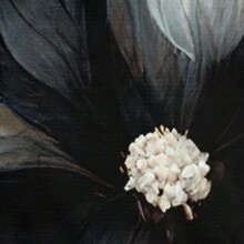 2/3pcs 3D Black Flowers Print Duvet Cover Set White Background Bedding Set Boys And Girls Bedroom Decor (Size 135x200 Only 1 Pillowcase)