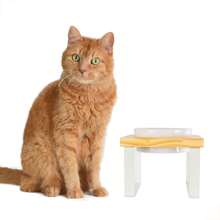 Elevated Feeder For Mini And Small Dogs And Cats With Porcelain Bowls - trắng - Xem 6