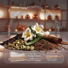 PERFUMES EUROPEOS Fragrance Inspired By 222 Men MTV, YOU CHOOSE THE PACKAGING, Men's Perfume, Elegant Woody Olfactory Family - Europe - View 3