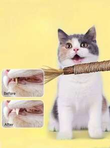 5/3/1 件猫磨牙棒宠物咀嚼玩具，适合小型和幼猫磨牙和玩耍，猫咀嚼玩具，猫咀嚼物，猫牙齿清洁咀嚼物，绳子和藤条，亚麻互动牙齿清洁玩具，适用于室内猫，多功能宠物游戏，无需电池，猫薄荷玩具 Silvervine 棒成年猫玩具小猫磨牙咀嚼 - 彩色 - 查看 6