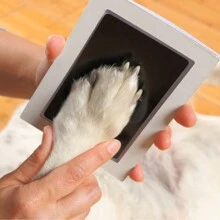 Pet No-Wash Paw Print Kit With 2 Cardstock Papers, Paw/Nose Print Frame, Dog/Cat Frame Gift, Clean-Touch, Ink-Free, Pet Memory Photo Gift,Love Pet Memory Presents,For Lovely Pet Birthday/Commemoration Day