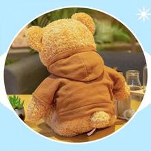 11.8 Inches Teddy Bear Stuffed Animals Soft Plush Cute Teddy Bear With Hoodie Boys Girls (Brown) - 棕色 - 查看 6