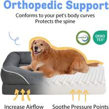 Washable Orthopedic Large Dog Bed - Dog Beds Large Sized Dogs With Removable Cover Waterproof Pet Bed With Bolster For Extra Large Pet - Dark Grey - View 2