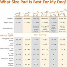 Heavy Duty, Absorbent Dog And Puppy Pee Pads With 5-Layer Leak-Proof Design And Quick-Dry Surface Potty Training, Regular, 20 Count, Blue & White - Standard - View 4