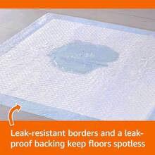 Heavy Duty, Absorbent Dog And Puppy Pee Pads With 5-Layer Leak-Proof Design And Quick-Dry Surface Potty Training, Regular, 20 Count, Blue & White - Standard - View 3