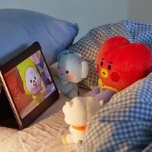 Juguetes de peluche de dibujos animados Bt21 3 tipos 25 cm juguetes blandos grandes, juguetes de peluche animales de peluche personajes divertidos de moda muñecas regalos - gris pardo - Ver 5