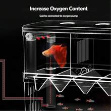 Aquarium Fish Breeding Box, Transparent Plastic Breeding Box, Fish Tank Fry Hatchery Box, Hatchery, Fry & Shrimp Larvae Incubator, Small Isolation Box - Multicolor - View 6