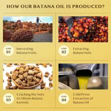 Raw Battana Oil For Hair Protection - 100% Pure, Organic Battana Oil For Thick And Strong Natural Hair - Dr. Sebi Unrefined Men's & Women's Scalp Mask (1 Pack) - Yellow - View 6
