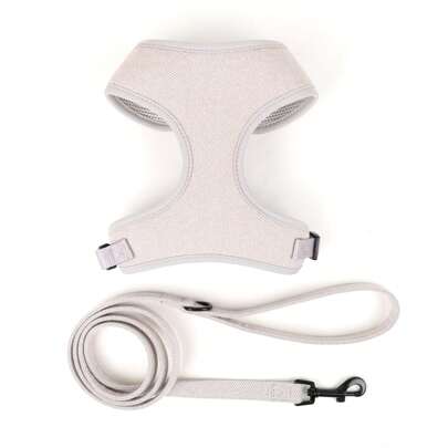 PETSIN 2 件可调节背带和牵引绳套装，适用于中小型宠物狗和猫的训练和散步