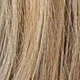 Brown Highlight