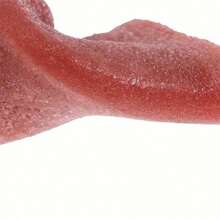 1 pieza Lengua falsa, lengua realista, piercing de lengua de acero, conjunto de accesorios de magia de escenario de primer plano, adecuado para disfraz de Halloween