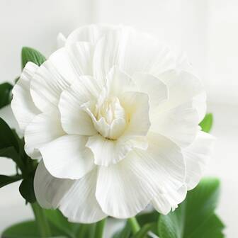 1 件人造 PE 泡沫大花，适用于婚礼仪式和活动背景装饰，大窗户