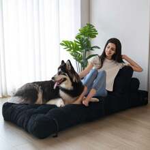 MAXYOYO Folding Sofa Bed,Convertible Floor Sofa With Pillow And Back Support,Portable Fold Out Chair Bed Comfy Floor Sofa Lounge For Living Room Bedroom - 黑色 - 查看 9