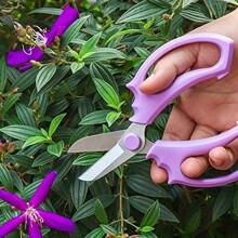 1Pc Professional Pruning Shears, Comfortable Grip For Both Hands, Classic Style, Stainless Steel Blades, Manual Gardening Shears, Suitable For Flower Arranging, Pruning Gardening, Plant Pruning, Picking Fruits