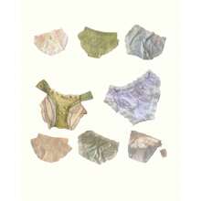 Mixed 5 Women's Lace Coquette Ruffle Panties In Various Designs