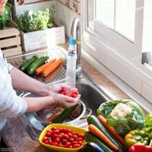 Chuveirinho Pia Torneira Anti Respingo Lavatório Cozinha Casa - Multicolorido - Visão 2
