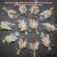 Mini getrockneter Blumenstrauß Set (12er Pack), getrocknete Blumen, Karte für kleinen Strauß, Wanddekoration, Geschenkbox Dekoration für Brautjungfern Blumenmädchen-Antrag, Geschenkdekoration getrocknete Blumen Geschenke Geburtstag Abschluss, Herbstdekoration - Verschiedenfarbig - Übersicht 14