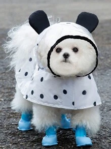 Angel Wings Design Raincoat For Pets, Candy Color, Waterproof & Windproof Dog Cat Cloak, For Small To Medium Dogs & Cats, Breathable And Lightweight Walking & Hiking Essentials With Leash Hook