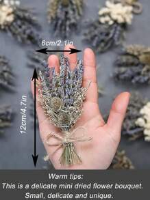 Mini getrockneter Blumenstrauß Set (12er Pack), getrocknete Blumen, Karte für kleinen Strauß, Wanddekoration, Geschenkbox Dekoration für Brautjungfern Blumenmädchen-Antrag, Geschenkdekoration getrocknete Blumen Geschenke Geburtstag Abschluss, Herbstdekoration - Verschiedenfarbig - Übersicht 3