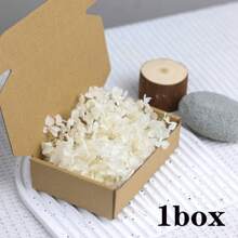 1 caja de pétalos de flores de hortensia, pétalos de flores naturales secas de colores para manualidades, boda, fiesta, Día de San Valentín, cesta de la niña de las flores, noche romántica, decoración de propuesta, decoración del hogar - Multicolor1 - Ver 3