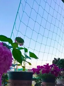 2pcs Heavy Duty PVC Garden Trellis Netting - Provides Sturdy Support For Climbing Plants, Flowers & Vegetables, Easy Installation, Windproof & Rainproof, Square Grid Design Enhances Stability, Trellis For Climbing Plants - Green - View 7