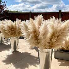 40" Inch 30 Stems Natural Pampas Grass Decor Tall, Pampas Grass, Tall Pampas Grass For Wedding, Party, Farmhouse, Boho Home Decor - Multicolor - View 3