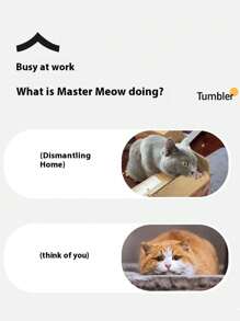 Cat Hunting Toy Set, Electric Cat Ball Toy With Lighting, Chasing & Hunting Pet Toy, USB Rechargeable, Kitten & Pet Supplies