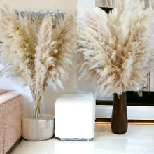 40" Inch 30 Stems Natural Pampas Grass Decor Tall, Pampas Grass, Tall Pampas Grass For Wedding, Party, Farmhouse, Boho Home Decor - Multicolor - View 7