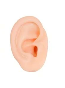 Silicone Ear Model,Nose And Mouth Model, Left And Right Soft Flexible Model Fake Ear Piercing Practice, Silicone Body Parts, Realistic Silicone Ear Mold For Jewelry Display Acupuncture Mannequin Teaching Instruction - Apricot - View 10