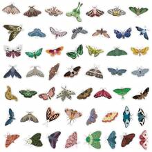 50 piezas Pegatinas de polilla, pegatinas estéticas de vinilo para scrapbooking, diarios, portátiles, parachoques, patinetas, botellas de agua, dibujos animados, cascos y coches