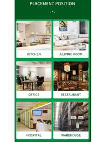 强力粘性捕鼠器 - 老鼠贴纸 / 老鼠胶 / 捕鼠板 / 捕鼠夹