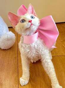 Vòng cổ thắt nơ cực lớn cho mèo, phụ kiện vòng cổ trang trí cho thú cưng - Hồng - Xem 9