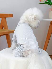 PETCIRCLE 1 pieza Ropa para mascotas para perros y gatos pequeños, atuendo fresco y lindo, ropa de interior cálida y cómoda, otoño/invierno