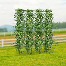 Gartenbogen, Gartenspalier für Kletterpflanzen, Kletterspalier mit Netz, Metallspalier für Gemüse, Obst und Blumen