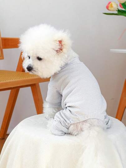 PETCIRCLE 1pc Pet Clothes For Small Dogs & Cats, Cool & Cute Outfit, Warm & Comfortable Home Wear, Autumn/Winter
