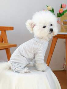 PETCIRCLE 1 pieza Ropa para mascotas para perros y gatos pequeños, atuendo fresco y lindo, ropa de interior cálida y cómoda, otoño/invierno
