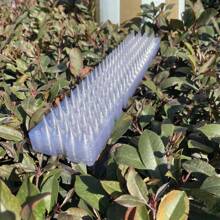 High-Quality Transparent Plastic Outdoor Bird Repellent Spikes And Anti-Cat Spikes Equipped With Elongated Protection Nails, Perfectly Suited For Both Indoor And Outdoor Environments To Guard Against Pigeons, Squirrels And Cats, Along With A Sturdy Anti-Cat Spike Mat For Thorough Protection. - Multicolor - View 2