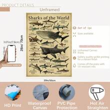 Shark Species Wall Art Poster 1PC - Vintage Ocean Canvas Posters For Home & Office Decor, Optional Frame Educational Marine Life Illustration, Ideal For Bedroom Decor, Living Room Decor, Classroom Decor- Perfect Gift For Sea Life Enthusiasts , Wall Art With Frame