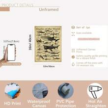 Shark Species Wall Art Poster 1PC - Vintage Ocean Canvas Posters For Home & Office Decor, Optional Frame Educational Marine Life Illustration, Ideal For Bedroom Decor, Living Room Decor, Classroom Decor- Perfect Gift For Sea Life Enthusiasts , Wall Art With Frame