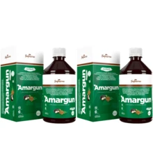 Amargun Digestive Vitamins B1 And Bitter B6 500ml Kit 2 Bottles - Others - View 3