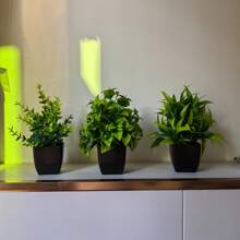 3PCS Mini Artificial Eucalyptus With Black Pots, Small Fake Greenery Bonsai For Home Office Bedroom Bathroom Indoor Decor - Multicolor - View 2